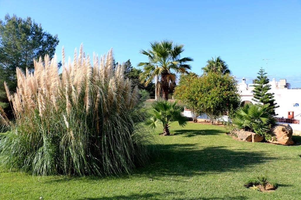 Villa Bellissima San Antonio (Ibiza) Quarto foto